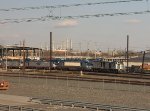 Amtrak locomotives